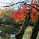 세종 행정사 이미지