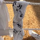 정원산책한의원 | 오산 오색시장 순대국 맛집 남순당 내돈내산 재방문 그리고 오산 정월 대보름 한마당 방문 후기