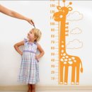 바른한약국 이미지