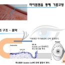 다시, 봄 약국 이미지