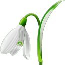 경희대 LION STAR 태권도장 이미지