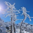 노고지리 이미지