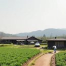 별꽃농장