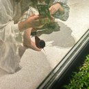 킹콩노래타운 | [여행] 푸꾸옥 2일차랑 3일차 (썬셋타운,카페그린,버기투어,하이봇,안바카페,톰하우스,미미후르츠)