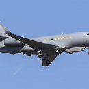 백두전자 이미지