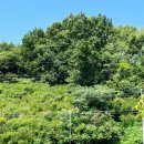 탈스테이 이미지