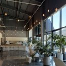 멍뛰멍 | 서울 근교 파주 애견운동장 ‘뛰뛰멍’ (가격인하!)