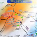 금강산카써비스 Daum카페