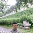 돌담당구장 Daum카페