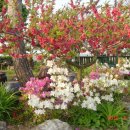 구지농장 이미지