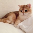쿤PC방 이미지