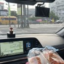 [경기도 파주] 감악산 다녀온 후기 등린이 추천코스