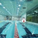 리틀아레나 이미지