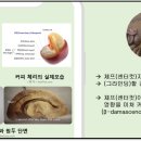 씨앤조이글로벌 네이버블로그