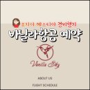 트빌리시에서 메스티아 가는법(바닐라스카이 성공후기)