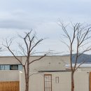 남해월간집 이미지