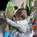 위에듀체육관 이미지