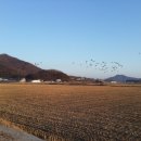 교동파크여관 이미지