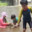 장모족발 (화명점) | “화명동에서 찾은 족발 힐링타임 – 장모족발 솔직리뷰”