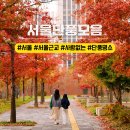용산-285 | 서울, 서울근교 사람 없는 단풍 은행 명소 모음 가볼만한곳