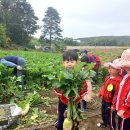 석호농장 이미지