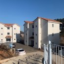 리틀미코노스5 이미지