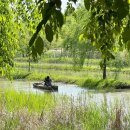 우포늪 생태체험장 화장실 | 우포늪 생태체험장 쪽배타기, 미꾸라지 잡기 체험 후기