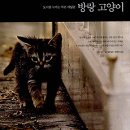 예담작은도서관 이미지