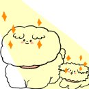 상하정육점