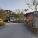 들풀 담소 이미지