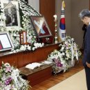 비젼(229) 이미지