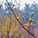 힐타운 공인중개사사무소 이미지