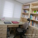 나무 밑 고양이 이미지