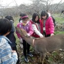 해보농장 이미지