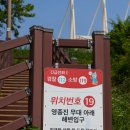 영종씨사이드 레일바이크 앞 네이버블로그