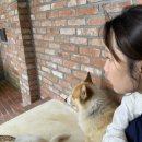 작은숲 | 담양 혼자 여행 할인되는 힐링 숙소 추천 [작은마을 작은 숲] 후기