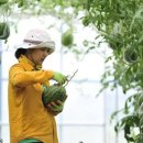 너래안농장 이미지