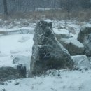 신선농원 이미지