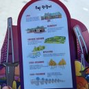 여주 남한강 출렁다리 개통 세종대왕 탄생일 5월15일 515m 여주 가볼만한곳