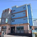 아름다운 애견 이미지