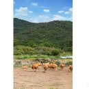신촌축산유통 이미지
