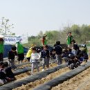 은빛농장 이미지