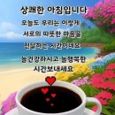 1041 Daum카페
