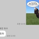 학 - 창원시 마산합포구 | 학