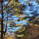 연가리맑은터 이미지