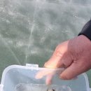 해와달 펜션 | 포천빙어낚시 :: 해와달펜션 가족여행 후기, 빙어낚시부터 썰매까지 겨울 제대로 즐기고 왔어요 ❄️🎣