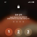 ios 14.6업뎃 후부터 애플워치 잠금해제가 안되요 ㅠ 이미지