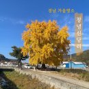 신당리마을회관 이미지