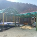 조아방방 이미지