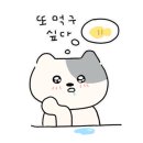 해안선회포차 이미지